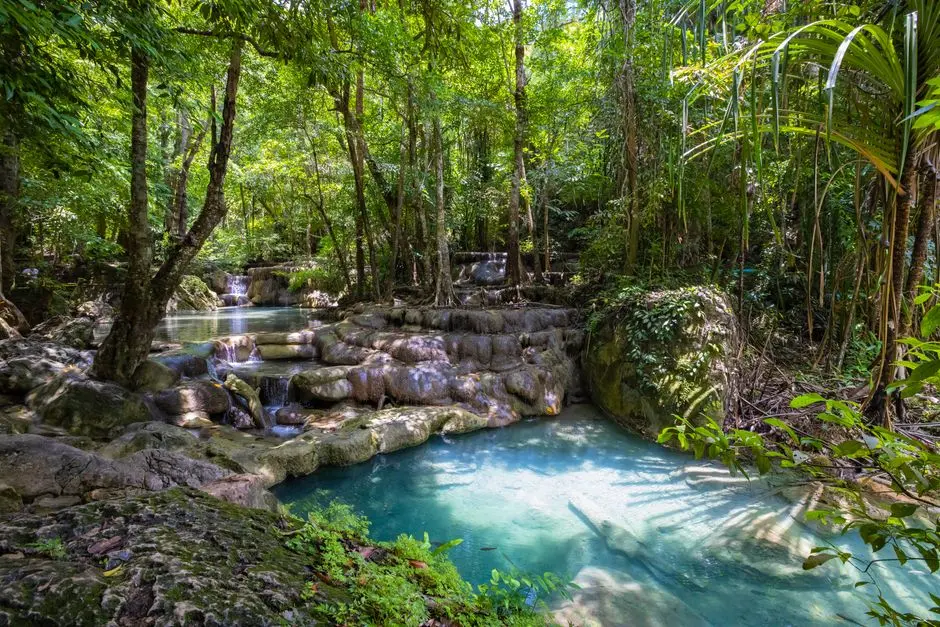 Pemandangan air terjun di tengah hutan tropis dengan kolam alami berwarna hijau kebiruan
